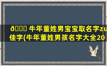 🐘 牛年董姓男宝宝取名字zui
佳字(牛年董姓男孩名字大全2020年)